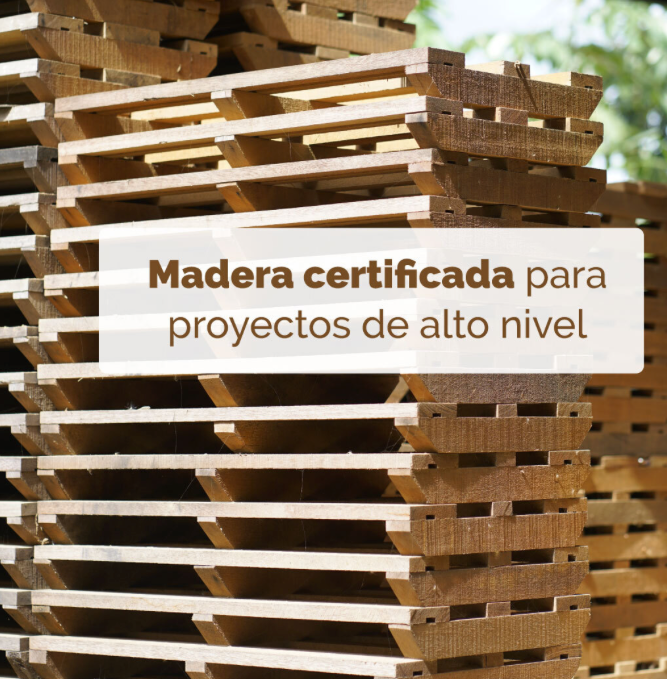 Maderas09